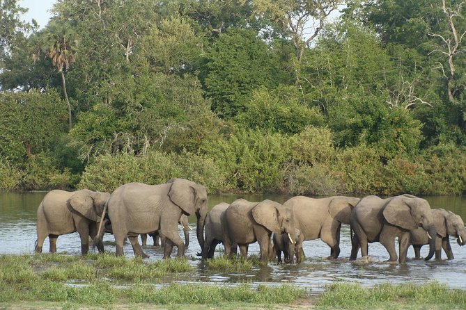 3 Days Selous Game Reserve Fly From Zanzibar - Meal Inclusions