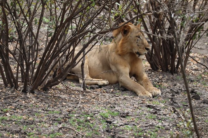 3 Days Selous (Nyerere National Park) - Accommodation and Meals
