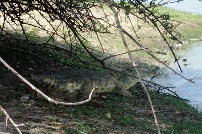 3 Days Selous (Nyerere National Park) - Meeting and Departure Arrangements