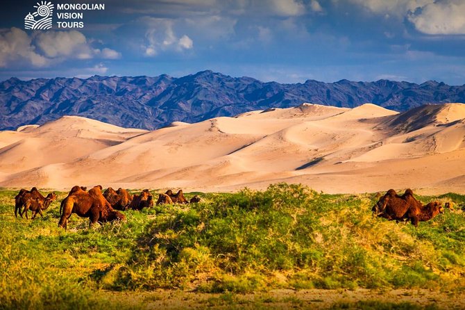 3 Days Semi Gobi Desert Review - Accessibility and Participation