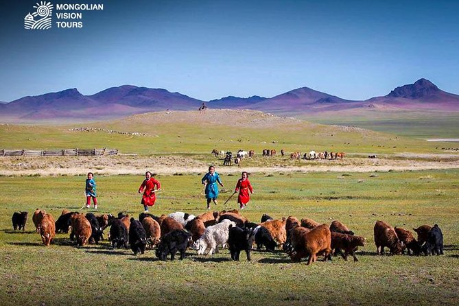 3 Days Semi Gobi Desert Review - Highlights of the Tour