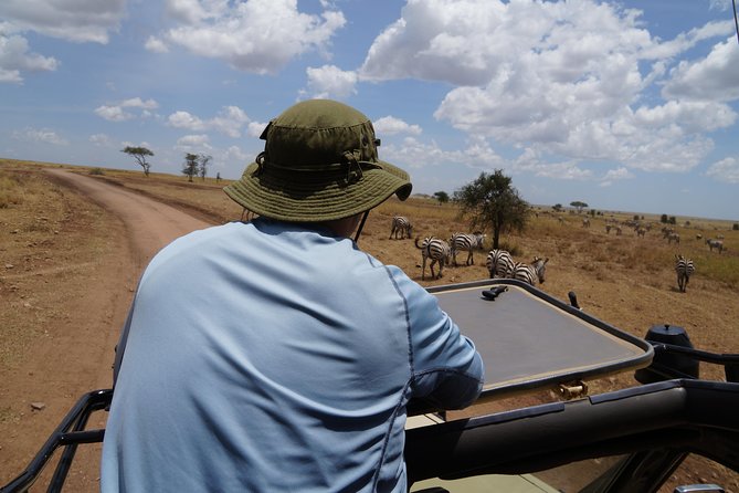3 Days Serengeti and Ngorongoro Crater Safari From Mwanza to Arusha - Included Amenities