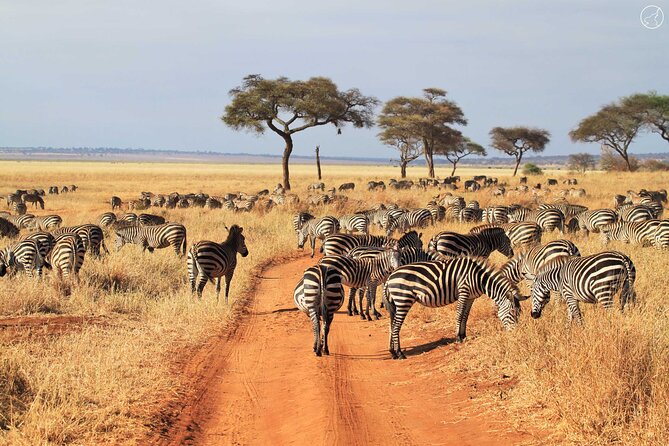 3 Days Serengeti and Ngorongoro Crater Safari From Mwanza to Arusha - Included Services
