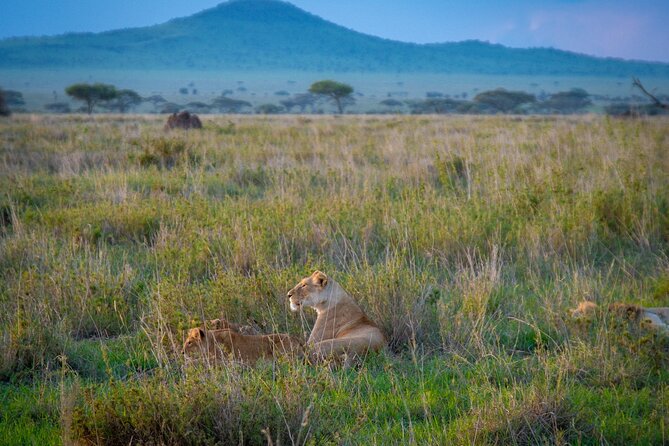3 Days Serengeti & Ngorongoro Group - Itinerary Overview