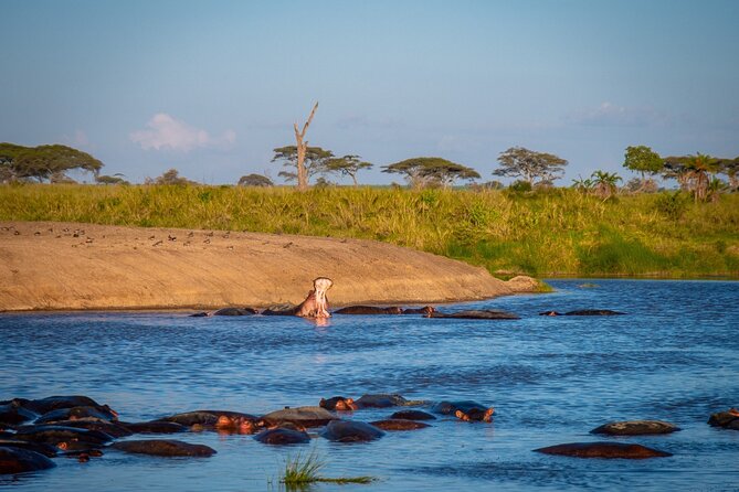 3 Days Serengeti & Ngorongoro Group - Booking and Pricing
