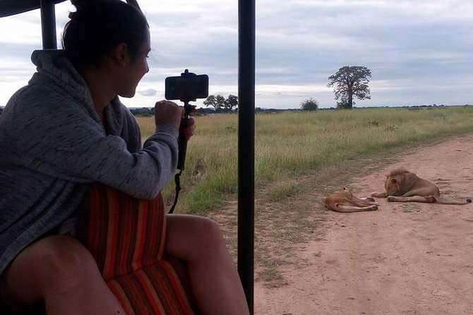 3 Days Serengeti & Ngorongoro Tour - Safari Start Time