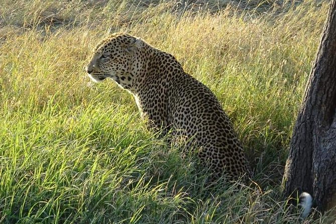 3 Days Serengeti & Ngorongoro Tour - Suitability for Travelers