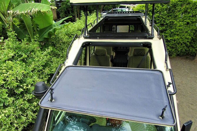 3 Days Serengeti Park & Ngorongoro Crater Adventure Safari - Traveler Testimonials