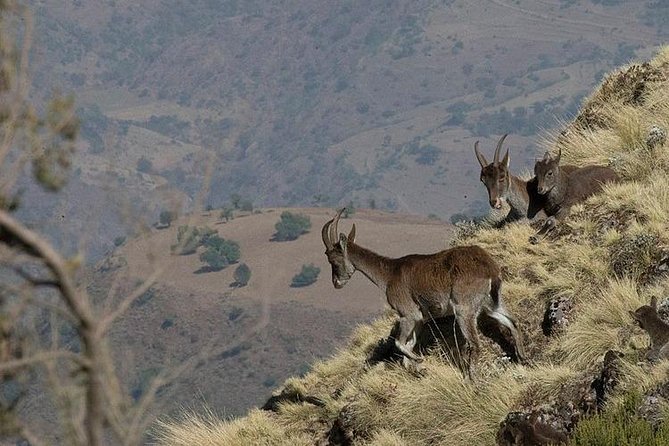 3 Days Simien Mountains Trekking - Preparing for the Trek