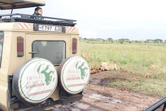 3 Days Small Group Safari to Serengeti NP and Ngorongoro Crater Tour in Tanzania - Traveler Reviews
