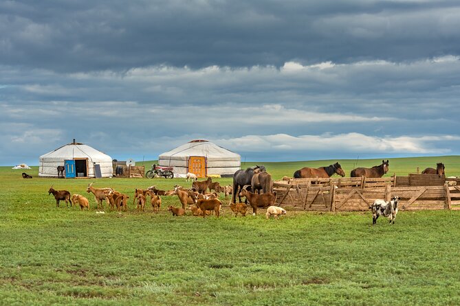 3 Days Stay With Nomadic Family - Good To Know