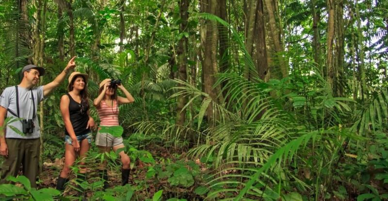 3 DAYS|| Tambopata Sunset Excursion - Key Points