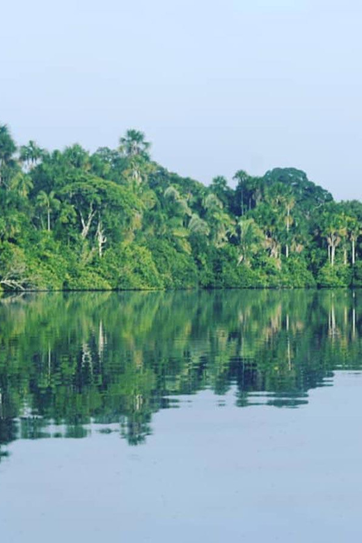 3 DAYS|| Tambopata Wild Amazon - Accommodation Details