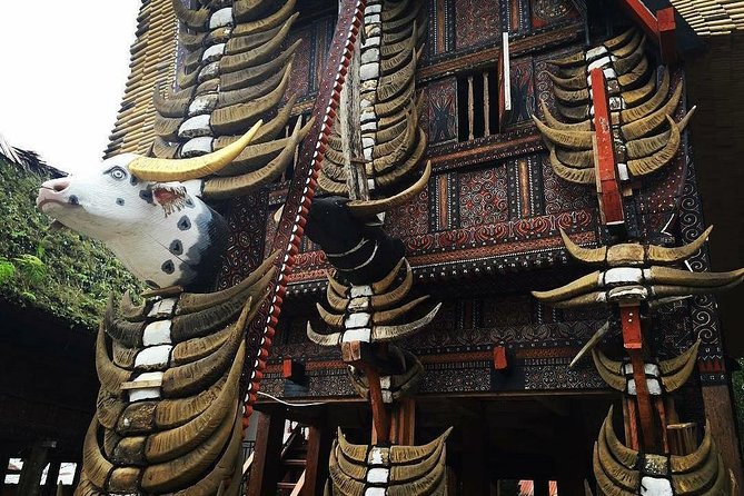 3 Days Tana Toraja From Makassar: Kete Kesu Village, Menhir to Funeral Burial - Accommodation Details