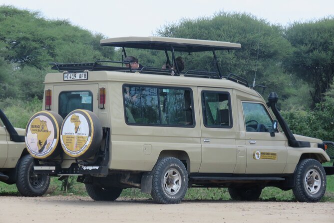 3 Days Tanzania Group Join Safari - Serengeti & Ngorongoro Crater - Meeting and Pickup Details
