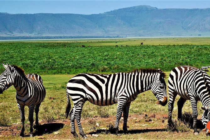 3 Days Tanzania Safari - Meeting and Pickup Details