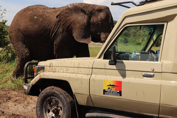 3 Days Tanzania Safari - Wildlife Sightings