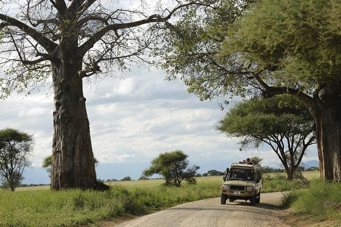 3-Days Tanzania Safari Tours - Accessibility and Participation