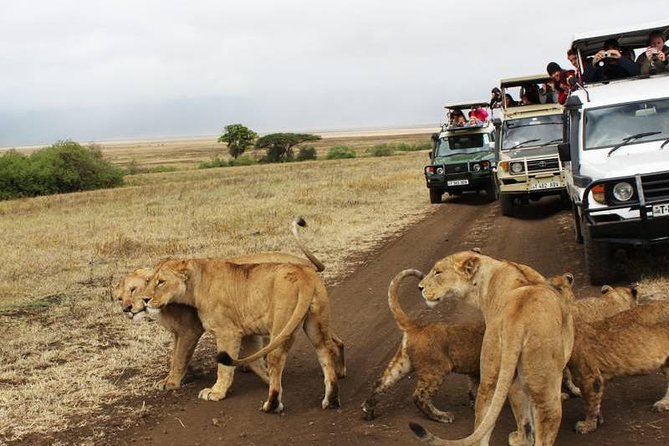 3-Days Tanzania Safari Tours - Additional Information