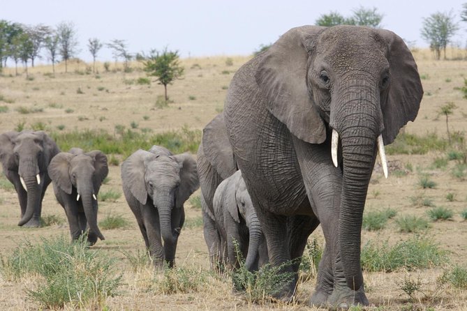 3 Days Tanzania Short and Spicy - Key Points