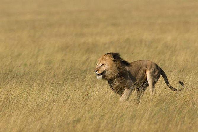 3 Days Tanzania Short and Spicy - Pickup and Meeting