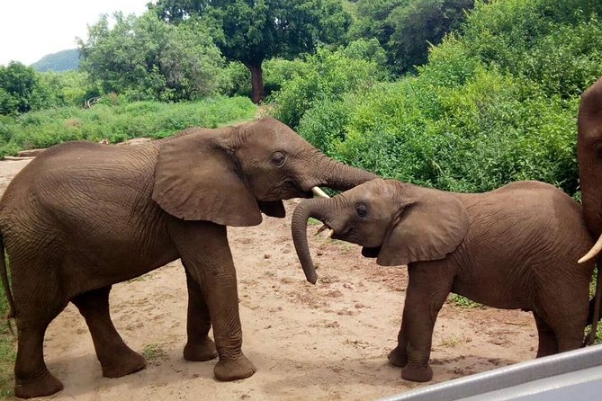 3 - Days Tanzania Wildlife Safari - Schedule