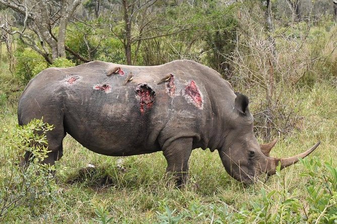 3 Days Tarangire, Lake Manyara and Ngorongoro - Tour Overview