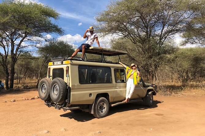 3 Days Tarangire, Manyara & Ngorongoro Joining Group Safari Tour Tanzania - Encountering the Big Five