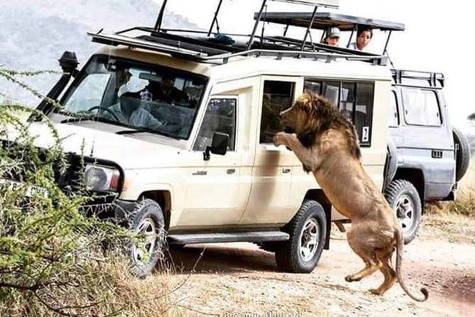 3 Days Tarangire, Manyara & Ngorongoro Joining Group Safari Tour Tanzania - Accommodation and Camping Arrangements