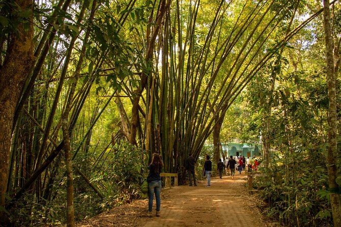 3 Days Teagarden and Rainforest Tour in Sreemangal - Arrival and Exploration