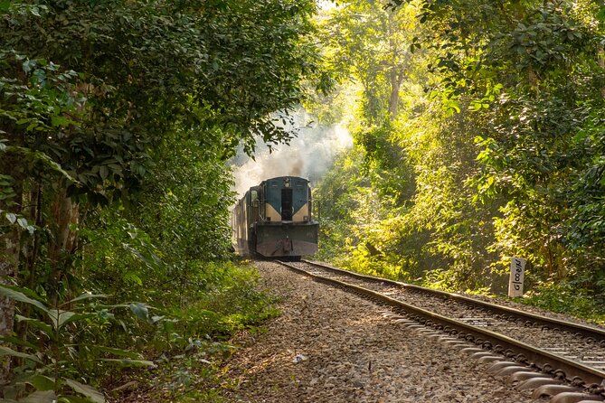 3 Days Teagarden and Rainforest Tour in Sreemangal - Madhabpur Lake and Surroundings