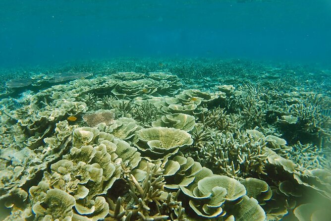 3 Days Tioman Island Package From Singapore (Private Tour) - Customer Feedback