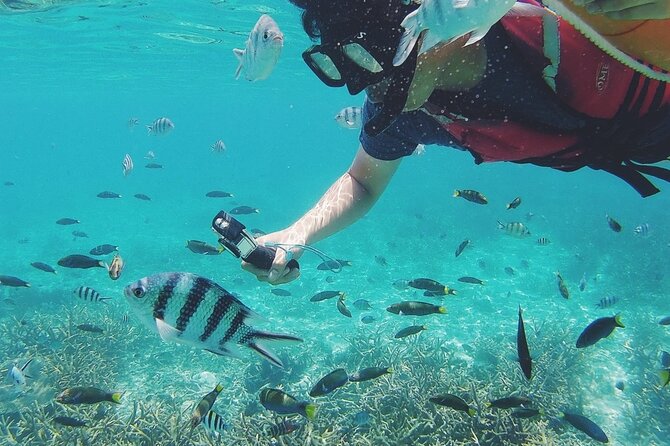 3 Days Tioman Island Package From Singapore (Private Tour) - Accommodation Details
