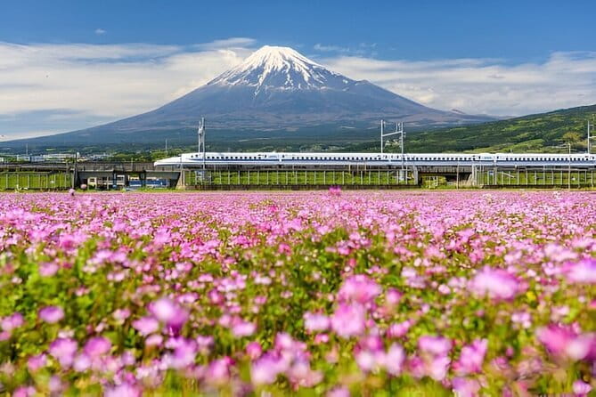 3 Days Tokyo, Mount Fuji and Nikko Private Tour - Pricing, Cancellation, and Booking Flexibility