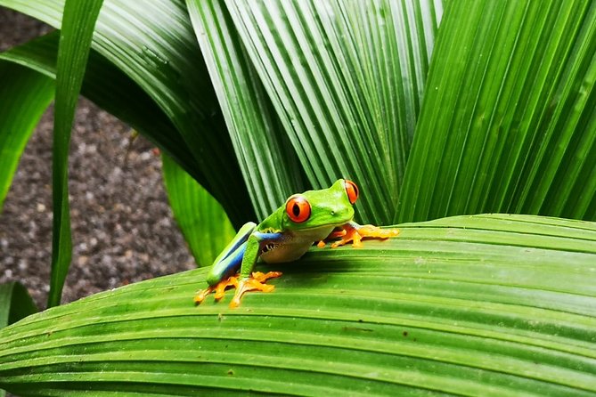 3-Days Tortuguero National Park Eco Adventure Tour - Tour Cost and Cancellation