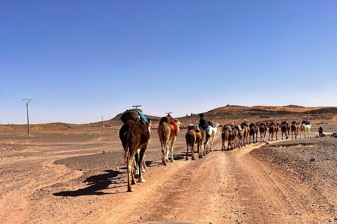 3 Days Tour From Errachidia To Merzouga With Safari & Camel Trekk - Highlights of the Tour