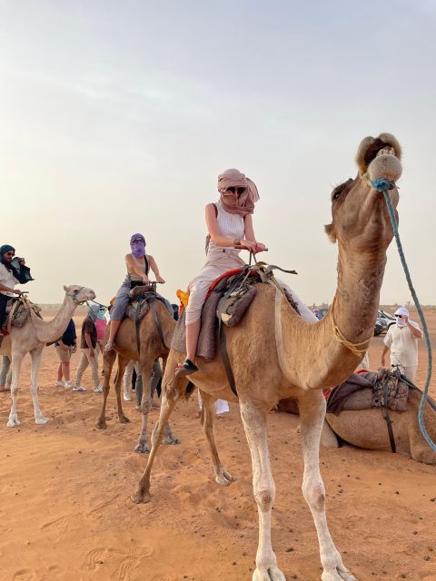 3-Days-Tour From Marrakech to Fes in Shared Group Trips - Local Guide Services