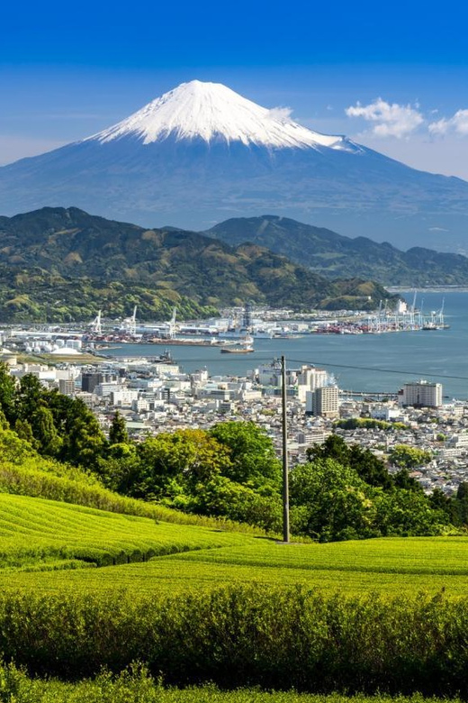 3 Days Tour From Tokyo (1) Mt Fuji (2) Kamakura (3) Nikko - Day 1: Mount Fuji
