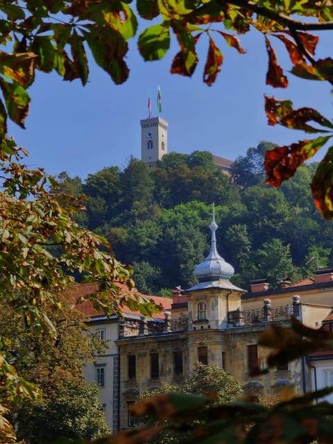 3 Days Tour From Zagreb-Ljubljana-Bled Lake-Predjama Castle - Important Information for Participants