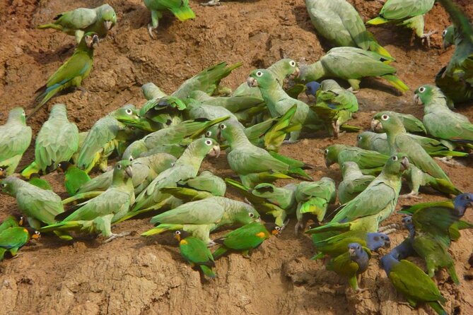 3 Days Tour in Manu Amazon - Key Points