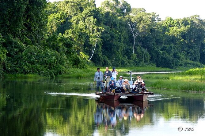 3 Days Tour in Manu Amazon - Day 2: Manu National Park Wildlife Observation
