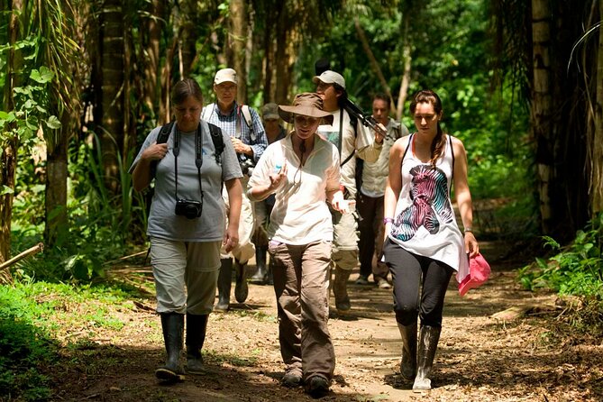 3 Days Tour in Manu Amazon - Day 3: Clay Lick and Return to Cusco