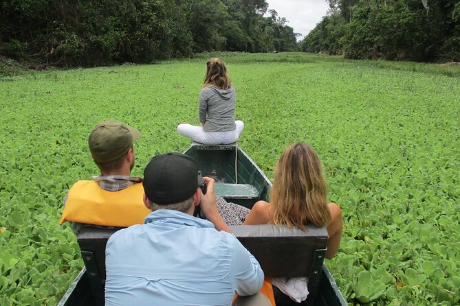 3-Days Tour in the Amazon Rainforest at Curassow Amazon Lodge - Transfer to Tamshiyacu-Tahuayo Reserve