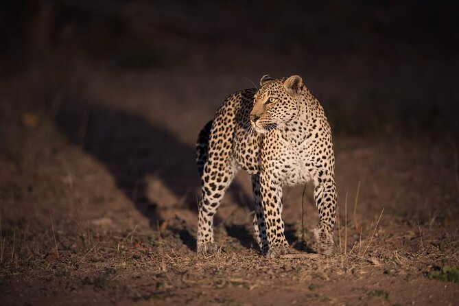 3 Days Tour Masai Mara Safari From Nairobi - Cancellation Policy