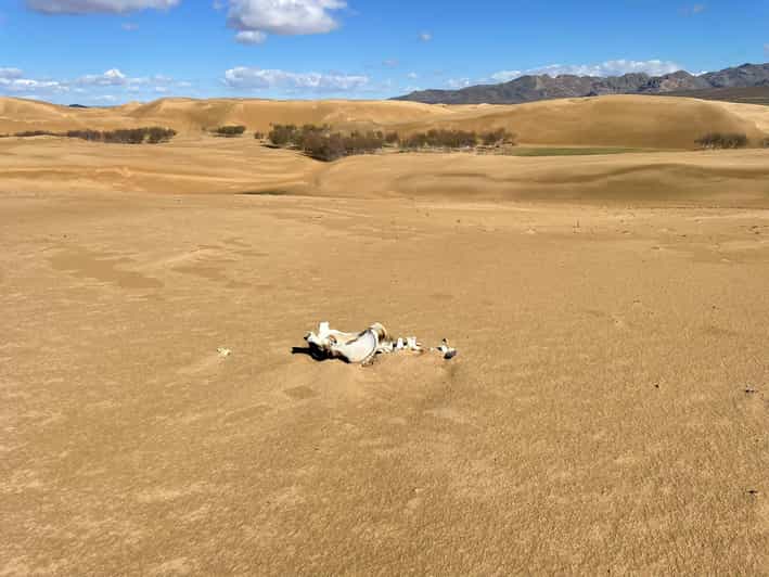 3 Days Tour of Central Mongolia - Itinerary Highlights