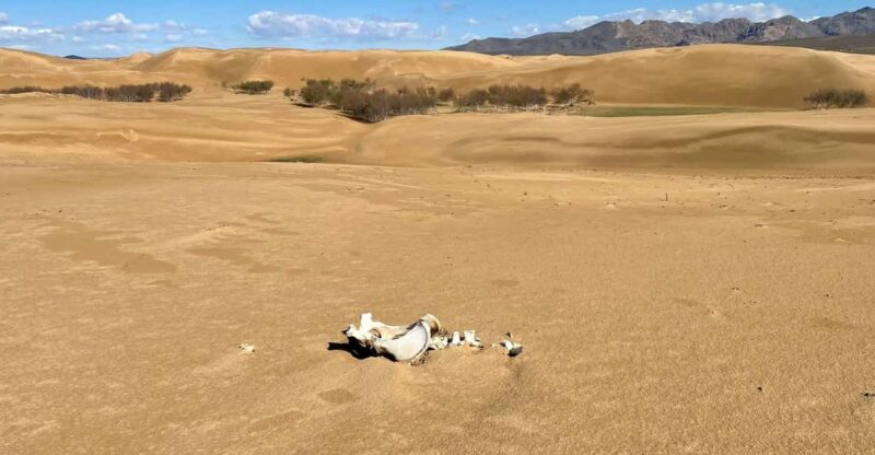 3 Days Tour of Central Mongolia - Inclusions