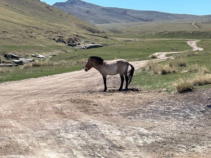 3 Days Tour of Central Mongolia - Kharkhorin Museum