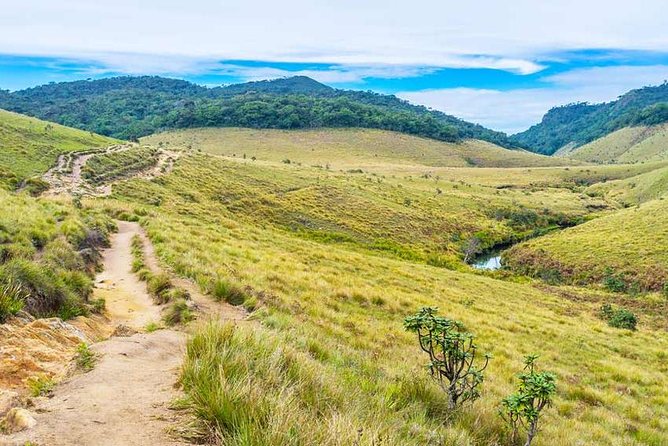 3 Days Tour of Ella, Nuwara Eliya and Haputale - Ella Experiences