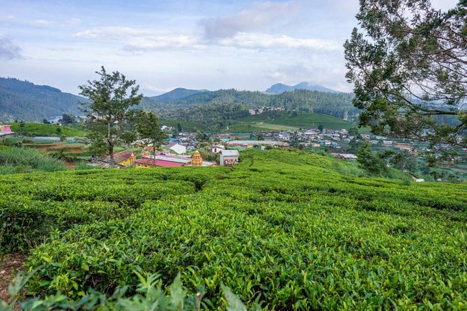 3 Days Tour to Kandy, Nuwara Eliya & Sigiriya - Booking Information