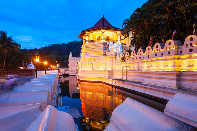3 Days Tour to Kandy Nuwara Eliya & Sigiriya From Colombo - Reviews and Feedback